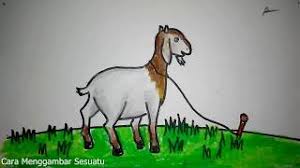Yayasan makmur al muthmainnah jambi ber qurban / cara menggambar dan mewarnai tema hari raya idul adha hewan kurban youtube cara menggambar gambar hewan gambar kartun qurban idul adha 2020 terbaru di 2020 gambar kartun gambar kartun gambar animasi selamat hari raya korban idul adha 2016 animasi gambar lucu gambar bergerak Cara Menggambar Hewan Kurban Kambing Youtube