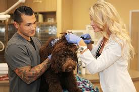 Pet insurance alternative covers any pet, absolutely no exclusions. Wound Laceration Repair Brightcare Emergency Care In Mission Viejo