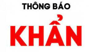 Luật dược quy định như thế nào đối giá cà phê hôm nay 24/6: B32ojnf4g93rm
