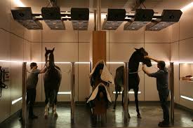 Robust And Stylish Modern Fittings In The Wash Stalls At Hofgut Rosenau Germany Pferdeunterstand Pferdefarmen Traumscheune