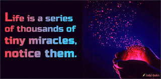 Life Is A Series Of Thousands Of Tiny Miracles Https Encrypted Tbn0 Gstatic Com Images Q Tbn 3aand9gcrg5nr Q Qhcw94tc Ri36oiga4oour9uchma Usqp Cau
