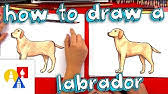 Serie enfant, serie thirteen, julianna, julie jardon age vraiment. How To Draw A Realistic Cat Youtube