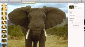 It's not a detailed tutorial, but will start you on the right path. Use Gif Animations To Reveal Pictures Gradually In Kahoot Youtube