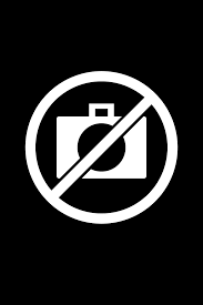 Image result for Commiphora pteleifolia