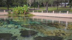 The largest campground in the ocala national forest and the only one with full hookups for rvs, the salt springs campground inside salt springs recreation area offers everything you need for a fun family outing. Salt Springs Ocala National Forest Florida Hikes