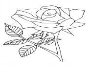 Simple floral arrangement coloring page. Rose Coloring Pages To Print Rose Printable