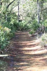 We did not find results for: Brooker Creek Preserve Brooker Creek Florida Bounding Over Our Steps
