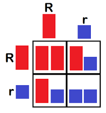 A male rabbit with the genotype ggbb is crossed with a female rabbit with the genotype 88bb the square is set up ggbb below. Monohybrid Dihybrid Cross Activities Study Com