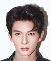 Liu Yan Chen (刘晏辰)