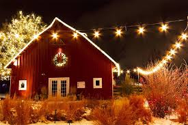 Use these steps and see how many feet of lights your outdoor trees steps on how to hang christmas lights on outdoor trees. Will Christmas Lights Hurt My Outdoor Trees Epling Landscaping And Lawn Service