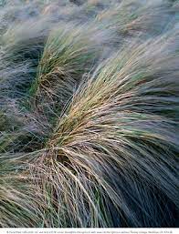 In landscape within, distinguished landscape photographer david ward investigates the goals of photography and how they can best be achieved. Right Out Of Left Field With David Ward Ephotozine