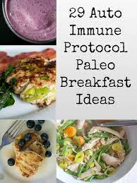 29 Aip Auto Immune Protocol Paleo Breakfast Ideas Autoimmune Paleo Recipes Aip Paleo Recipes Paleo Recipes Breakfast