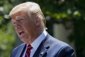 Republicans raise the $10K needed for Trump portrait at Capitol in less  than 36 hours