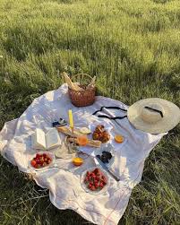 Picnic Ideas Creating Perfect Settings for Summer Outings