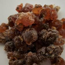 Image result for Commiphora kua