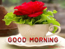 Good Morning from Dixie! Our...