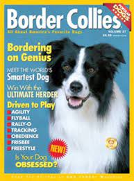 Robot Check Collie Border Collie Collie Puppies