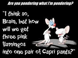 You were always so darn dramatic! I Miss Pinky And The Brain Animaniacs Love Your Husband Quotes Bones Funny