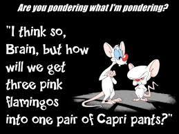 Pinky and the brain quotes. I Miss Pinky And The Brain Humor Pinterest Brain Cartoon And Sons