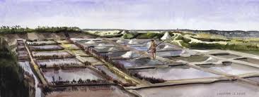 Paludier Dans Les Marais Salants Pres De Guerande Peinture A L Aquarelle Faite D Apres Nature Collection Particuliere Frenc Avec Images Aquarelle Peinture A L Aquarelle