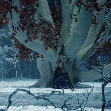 Ariane On Twitter Sansa Stark High Fantasy A Song Of Ice And Fire