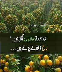 Sun liya hum ne faisla tera or sun kr, udas ho baithay zehan chup chap ankh khali hai jaise hum kainat kho baithay. Pin By Ø¨Ù†Øª Ø­Ø³Ù† On Ø¨Ø§Øª Ø§Ø«Ø± Ø±Ú©Ú¾ØªÛŒ ÛÛ' Fun Poetry Silent Words Poetry Quotes In Urdu
