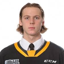 Sam Bitten Official OHL Profile and Stats