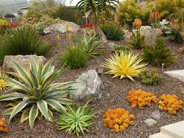 How To Plant A Succulent Garden World Of Succulents Succulent Garden Design Succulent Landscaping Desert Landscaping