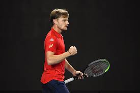 Because they are a small cockatoo many people mistakenly assume they are easier to manage then the big cockatoos. David Goffin David Goffin Twitter