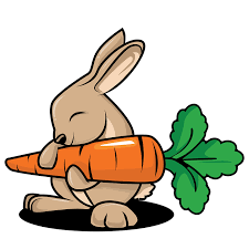 Králík Kreslené Vtipy Legrační - Obrázek zdarma na Pixabay