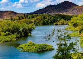 Galerías de fotos - CNC TV Granma