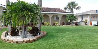 Thomas stone & materials offers several types of turfgrass for you to choose from. Zoysia Varieties Professionally Installed San Antonio Landscaping
