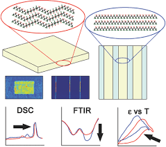 Ran duan, bruno takahashi, and adam zwickle. Observation Of Confinement Induced Self Poling Effects In Ferroelectric Polymer Nanowires Grown By Template Wetting Whiter 2016 Macromolecular Materials And Engineering Wiley Online Library