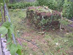How much horse manure for garden. How To Compost Horse Manure Horse Manure Horse Manure Composting Manure