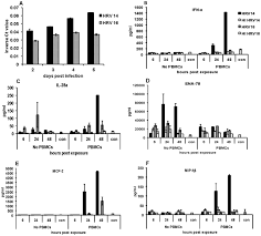 Potential roles of protein disulphide isomerase in viral infections. Plos One Response To Rhinovirus Infection By Human Airway Epithelial Cells And Peripheral Blood Mononuclear Cells In An In Vitro Two Chamber Tissue Culture System