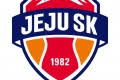 응원관련 건의 - 제주SK FC 마이너 갤러리