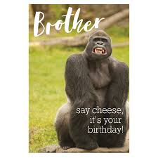 A gorilla as viewed from the side. Gorilla Sitting Down With His Mouth Open Laughing Austins Department Store