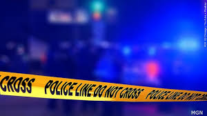 Rev. Dr. Frederick Newsome Seay ("Pastor Fred")