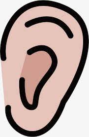 Cartoon Ear Ear Earlobe Cartoon Png Transparent Clipart Image And Psd File For Free Download Cartoon Ears Cartoon Artist Cartoon
