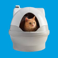 The mtn is all you need. Catgenie Catgeniecatbox Profile Pinterest
