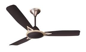 All at low prices and most with free shipping! 1200mm 77 Watts Crompton Aggnus Primus Ceiling Fan Id 16902425873