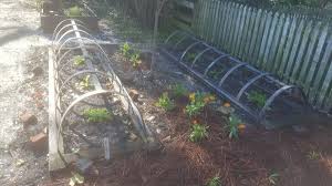 This city had 9 different contributors in the past 18 months. Colonial Nursery Nurseries Gardening 208 W Duke Of Gloucester St Williamsburg Va United States Phone Number Yelp