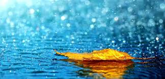 Image result for images rain water acidity