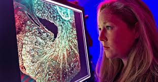 In the Lens of the Beholder