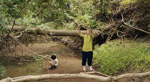 'minari' is an emotionally beautiful film. Minari 2020 Photo Gallery Imdb