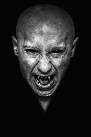 Christine Feehan's Blog