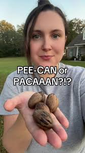 Pecan or Pecan South Cooking with Britt