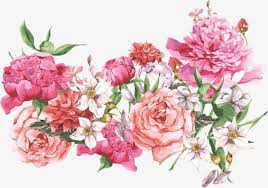 Hand Painted Flowers Hand Painted Pink Flowers Png Transparent Clipart Image And Psd File For Free Download Flower Painting Free Watercolor Flowers Watercolor Flowers Paintings
