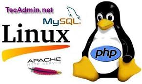 Install Lamp Apache 2 4 Mysql 5 6 Php 5 On Centos Rhel 7 Mysql Php Mysql Apache