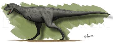 1022x781 carnotaurus fulgaris by nevert013. How To Draw A Carnotaurus Carnotaurus Dinosaur Step By Step Drawing Guide By Alatriste Dragoart Com